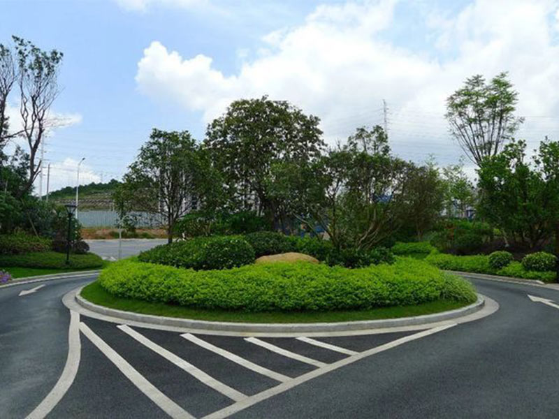 無錫廣場綠化