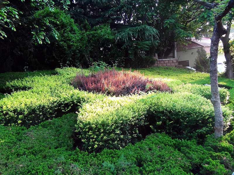 廣場綠化養(yǎng)護.jpg 廣場綠化養(yǎng)護.jpg